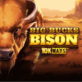 Bisonte de Grandes Fortunas 10K Ways game icon